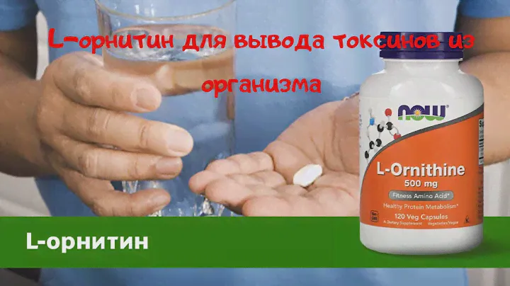 Орнитин для вывода токсинов из организма