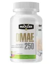 DMAE 250 100 капс (Maxler)