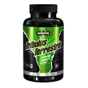 Maxler Tribulus Terrestris 625 (100капс.)