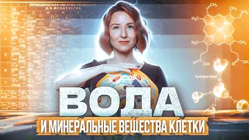 Вода и минеральные вещества клетки | ЕГЭ-2024 по биологии